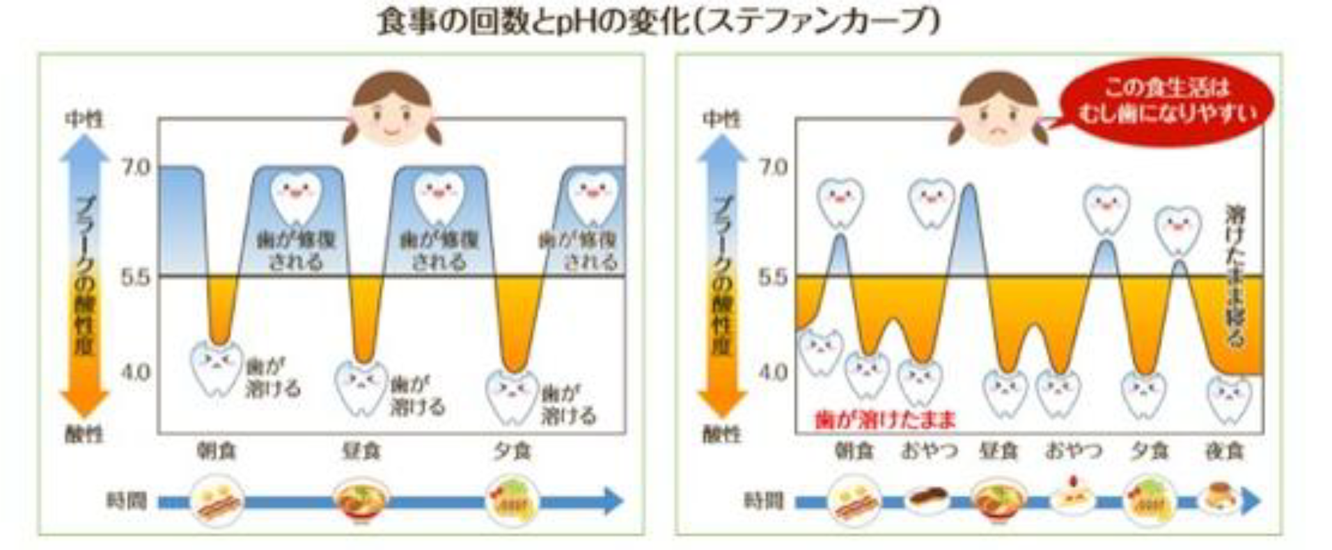 食事の回数とpHの変化